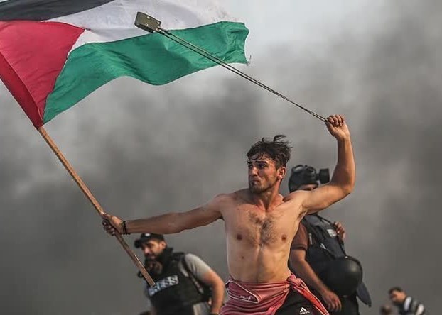 مستند , سینما , تلویزیون , کشور فلسطین , شبکه مستند , نوار غزه , رژیم صهیونیستی (اسرائیل) , 