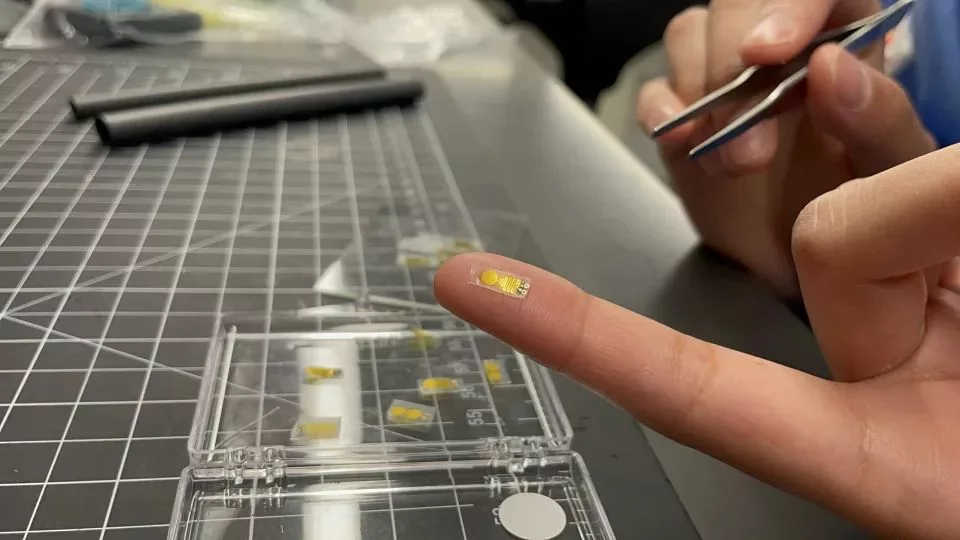 ساخت ایمپلنت کوچکی که می‌تواند سلامت عضو پیوندی را تحت نظر بگیرد