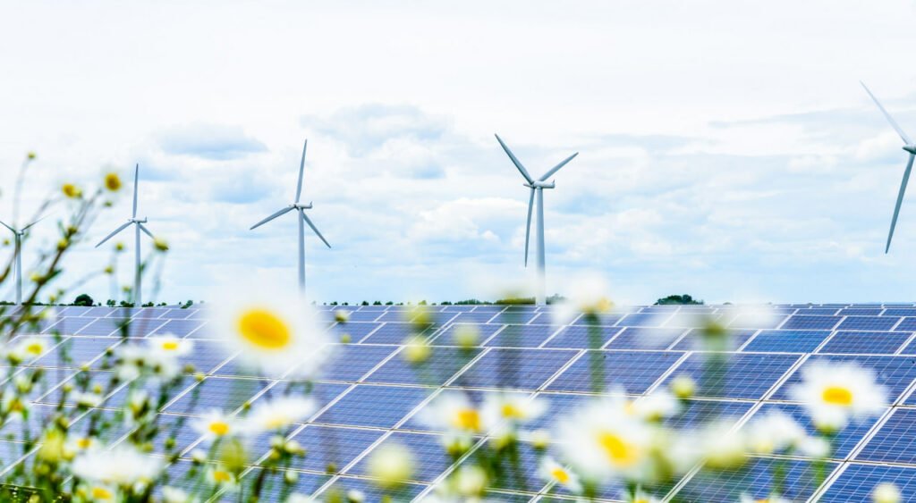 کشف روشی تازه برای تولید انرژی پاک از پر مرغ‌ها