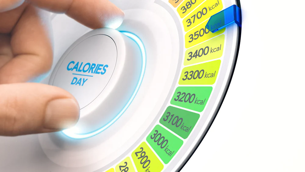 1700158925 254 افراد چاق در طول روز انرژی کمتری می سوزانند.webp