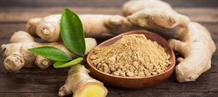 ریشه این گیاه ضد نفخ، ضد تهو ع، ضد دیابت، ضد آرتروز، ضد کبد چرب + روش مصرف