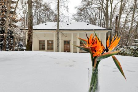 سعدآباد برفی در یک روز قشنگ+عکس