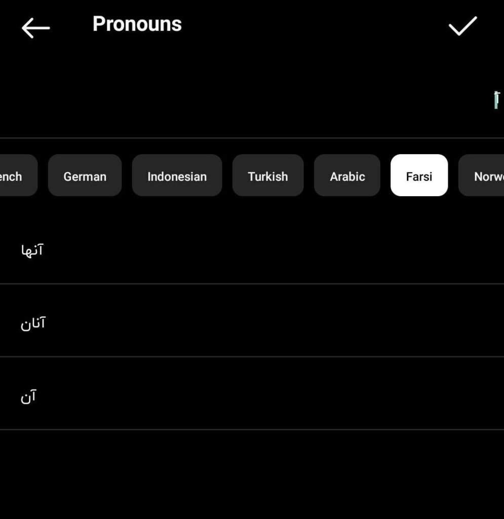 1714499447 543 ضمیر اینستاگرام چیست آموزش فعال سازی pronouns در بیو