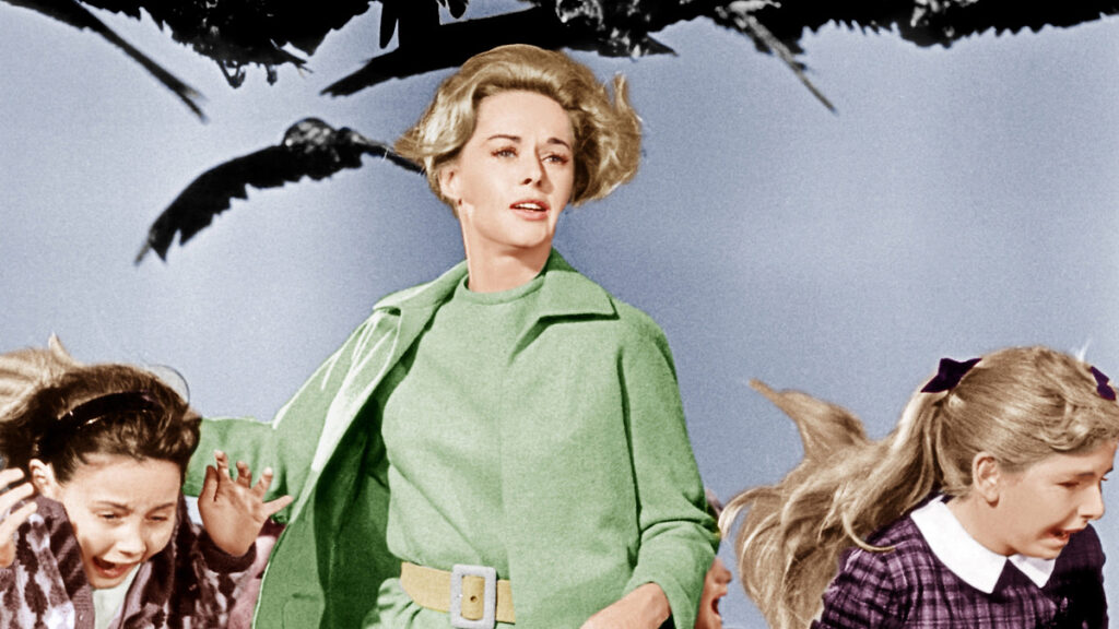 ۲۰ فیلم ترسناک که بر پایه داستان واقعی ساخته شدند_راسخ 97 The Birds