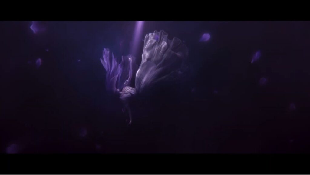 Elden Ring Shadow of The Erdtree