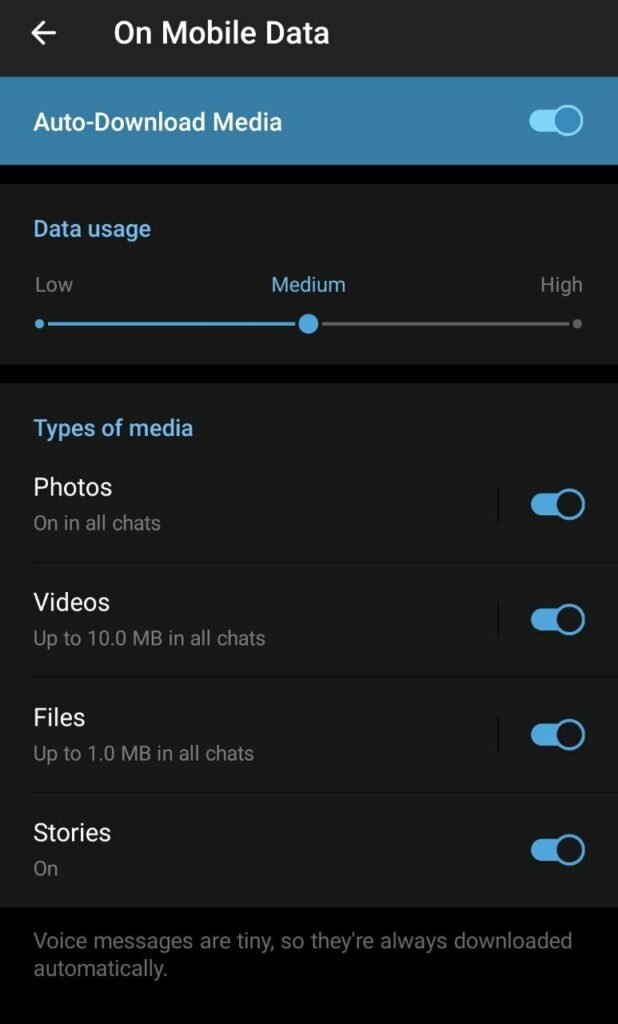 1717095395 732 غیر فعال کردن دانلود خودکار تلگرام ‌ بستن دانلود تلگرام