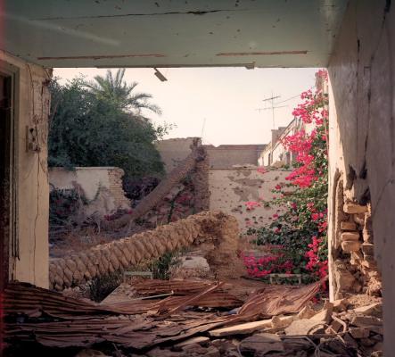 قاب کمیابی که پس از آزادی خرمشهر ثبت شد+عکس