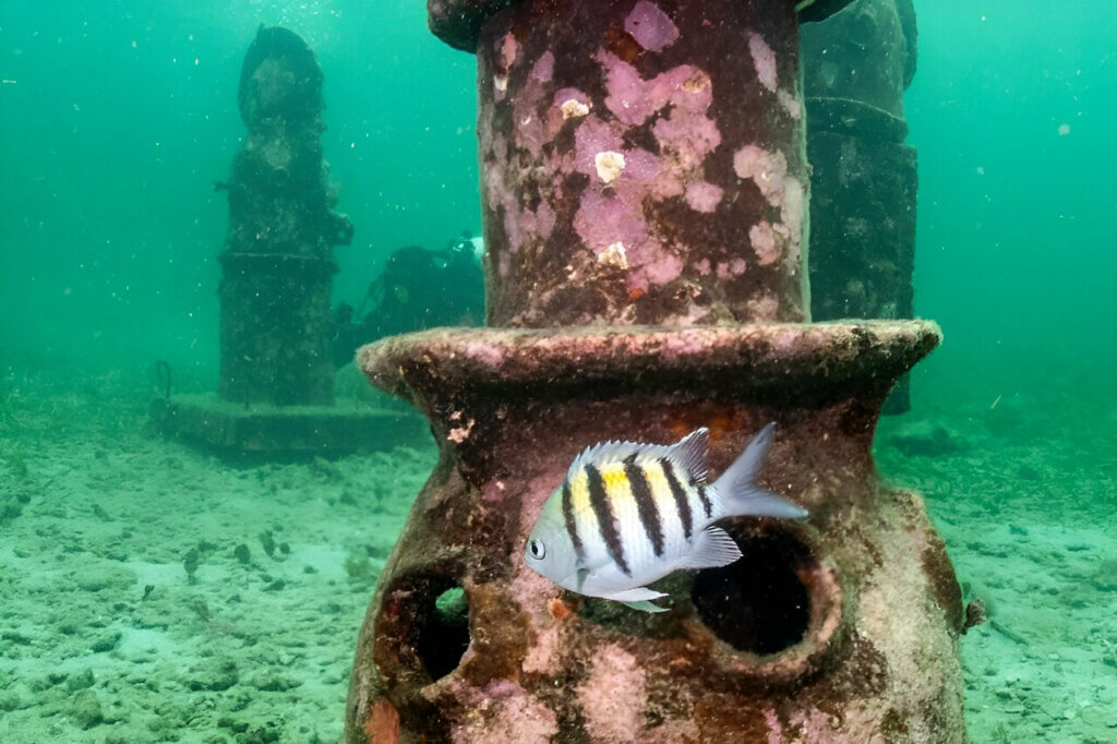 1717784240 804 ساخت یک گالری از مجسمه در دریای کارائیب برای حمایتاز