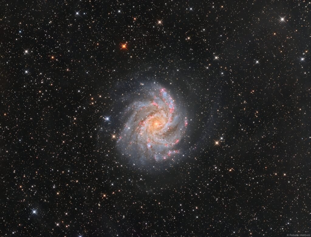 عکس روز ناسا: روبه‌روی NGC 6946_راسخ