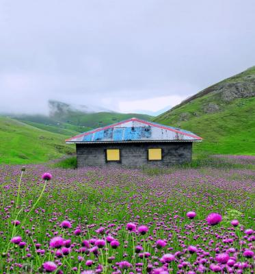 تصویر زیبا و بهشتی از گیلان +عکس