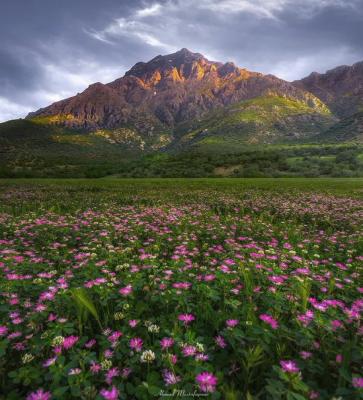 طبیعت زیبای دورود در لرستان ایران